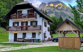 Apartments And Rooms Kravanja